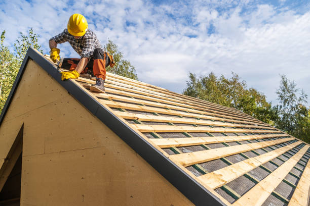 Best Roof Gutter Cleaning  in Shelton, NE