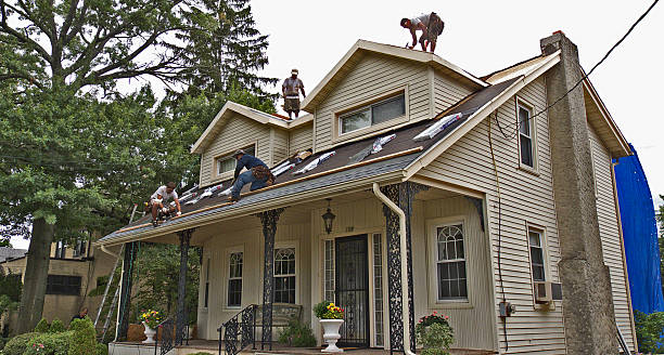Best Best Roofing Contractors  in Shelton, NE