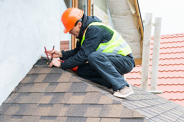 Best Storm Damage Roof Repair  in Shelton, NE