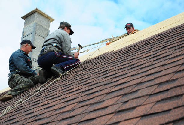 Best Emergency Roof Repair  in Shelton, NE